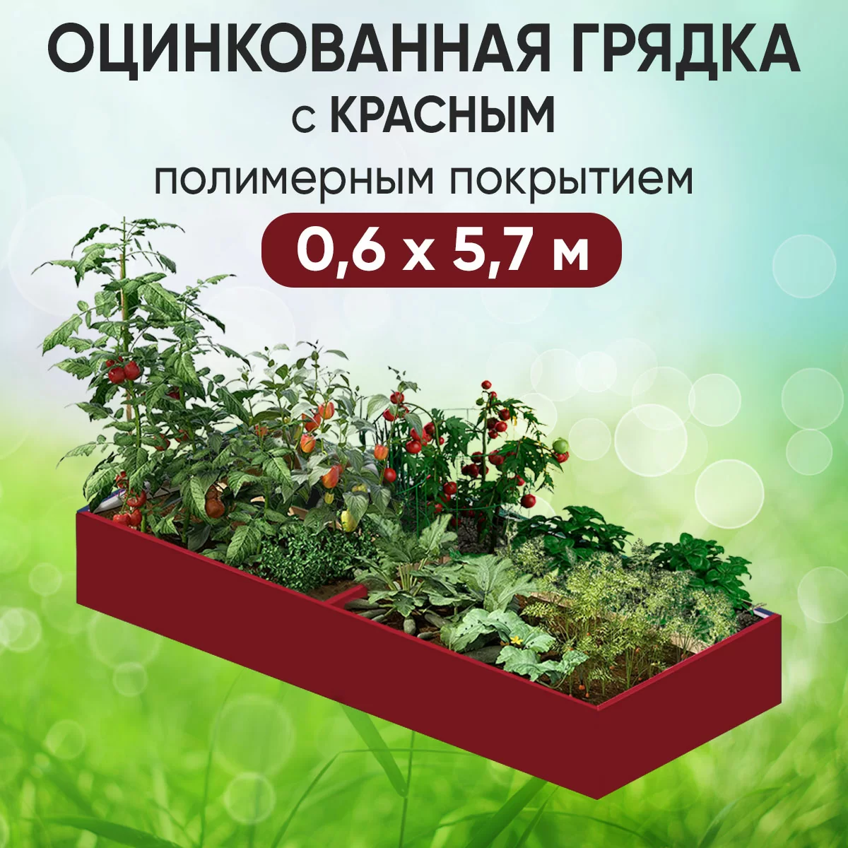 Грядка красная (0,6 х 5,7)